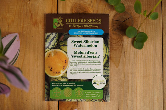 Watermelon Sweet Siberian
