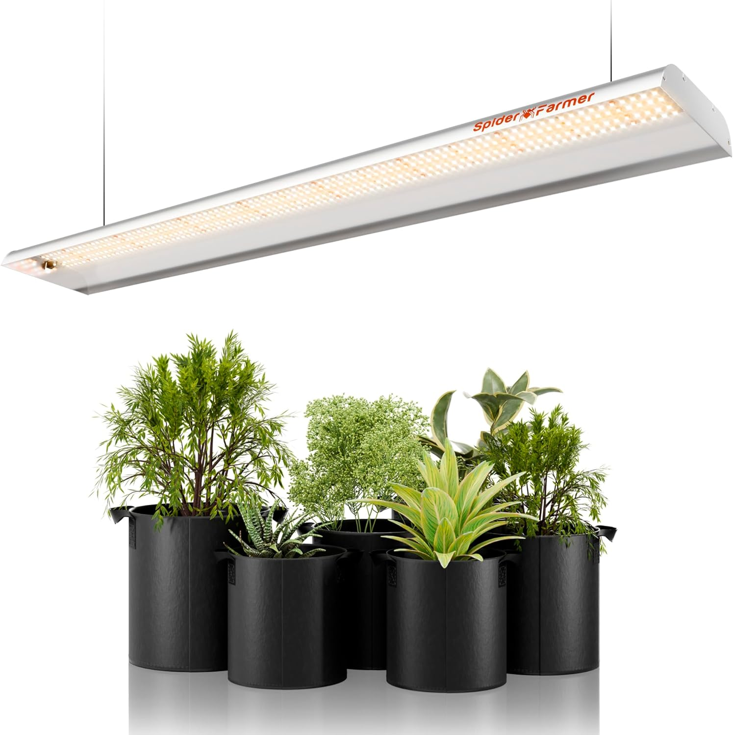 Grow Lights