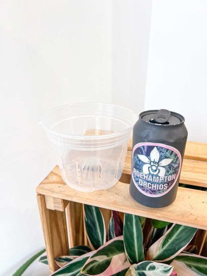 Hangable transparent slotted basket pot