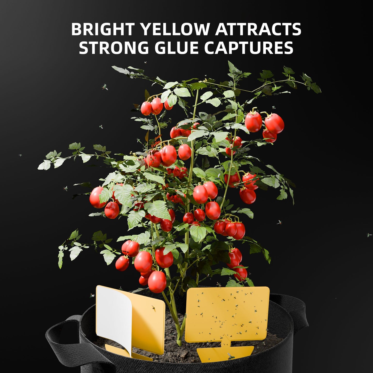 9-in-1 Plant Grow Tools Kit