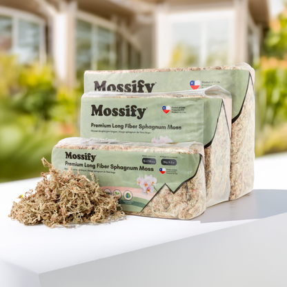 Premium Sphagnum Moss