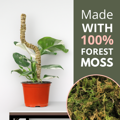 The Bendable Moss Pole™ 𝘛𝘏𝘐𝘕