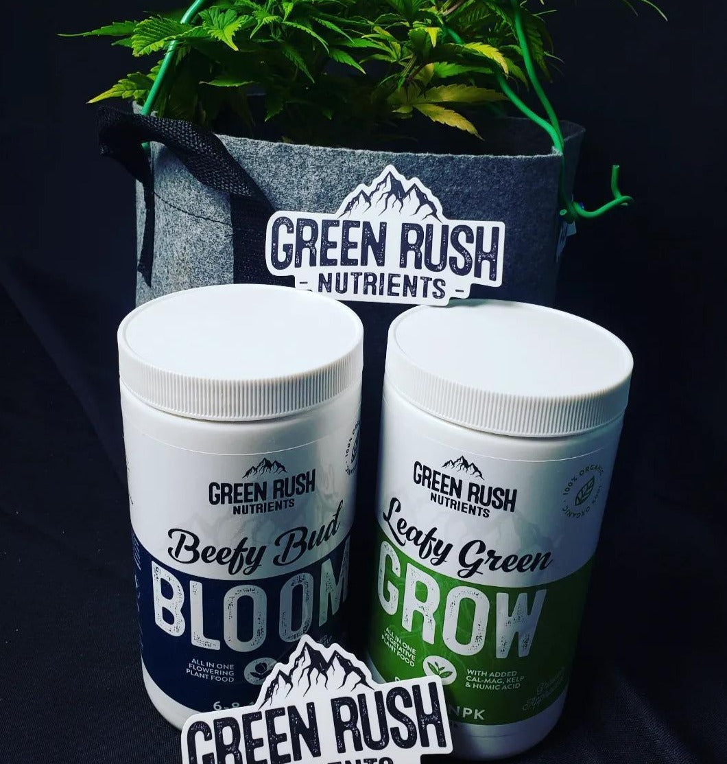 Veg To Harvest Pack: Leafy Green Grow & Beefy Bud Bloom Combo