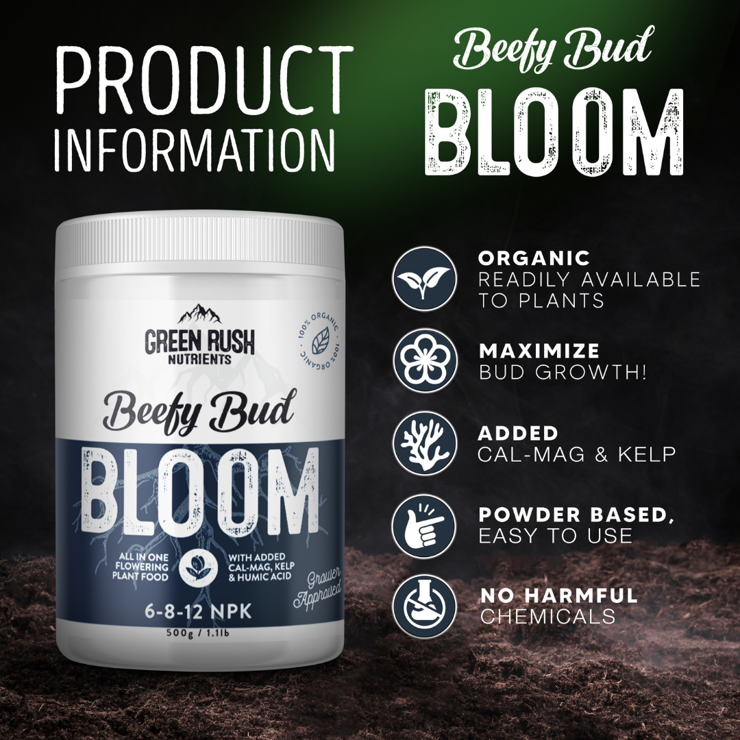 Veg To Harvest Pack: Leafy Green Grow & Beefy Bud Bloom Combo