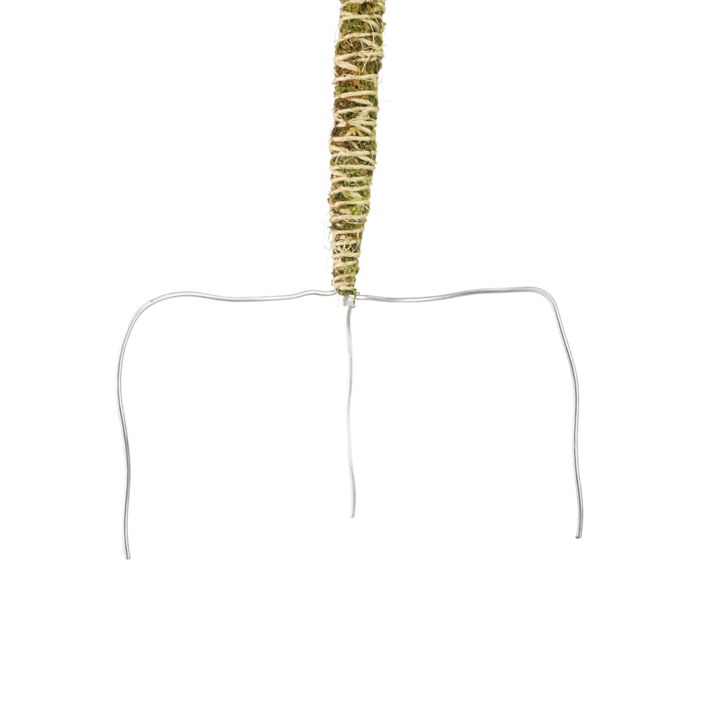 The Bendable Moss Pole™ 𝘛𝘏𝘐𝘕