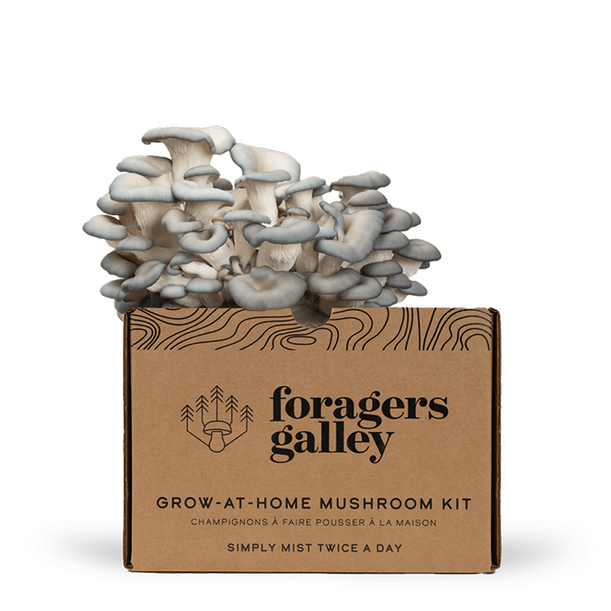 Grower's Starter Bundle - Two Kits