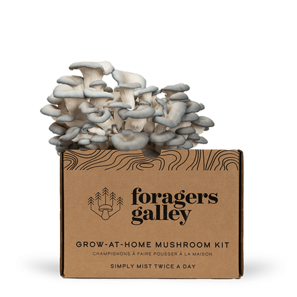 Grower's Starter Bundle - Two Kits