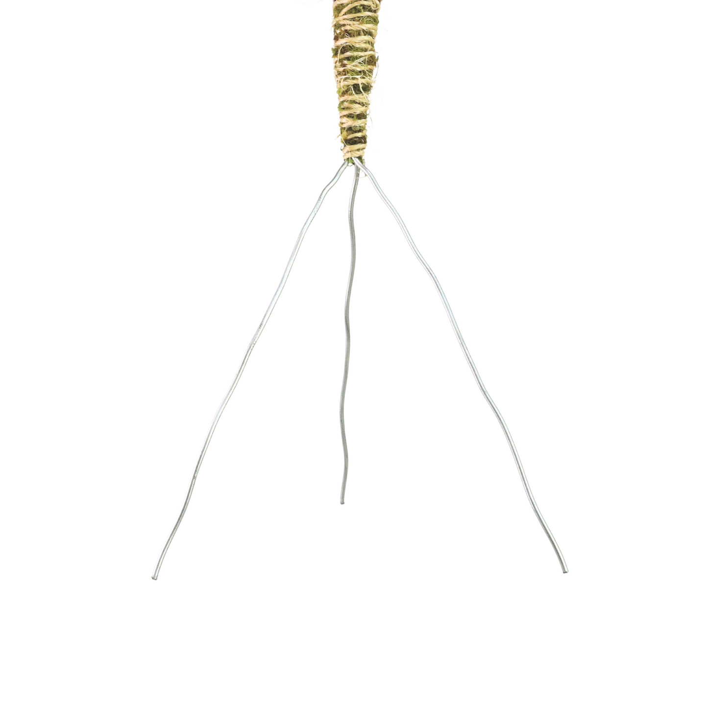 The Bendable Moss Pole™ 𝘛𝘏𝘐𝘕