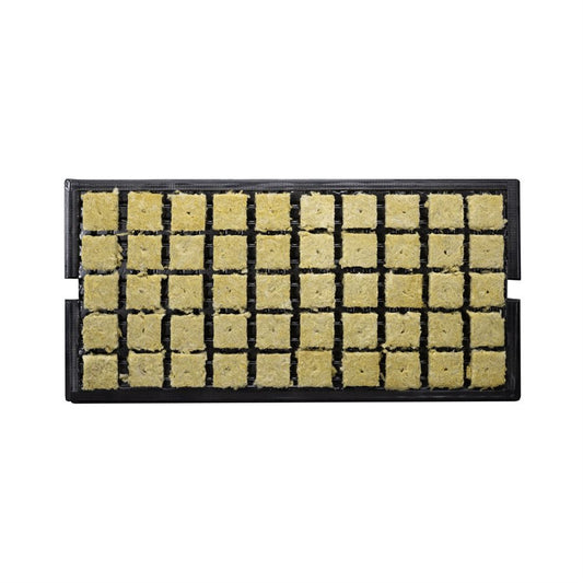 GRODAN SBS A-OK Plugs 1.5'' 36 / 40 TRAY (50plugs/tray)