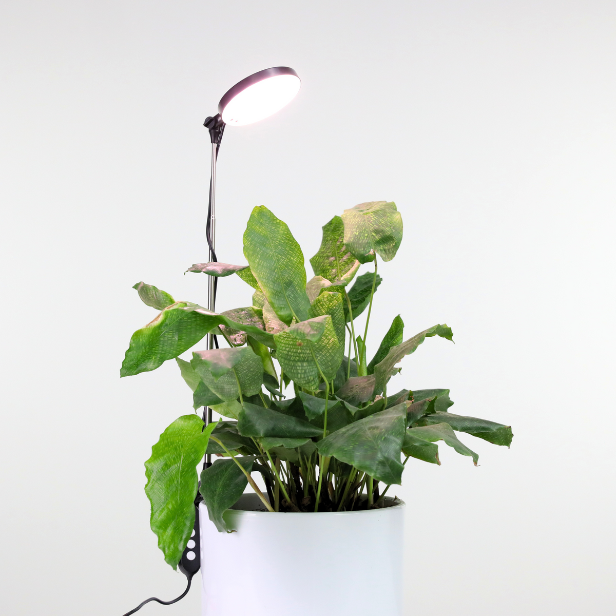 28" Adjustable LED Plant Light