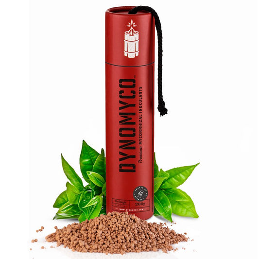 Premium Micorrhizal Stick