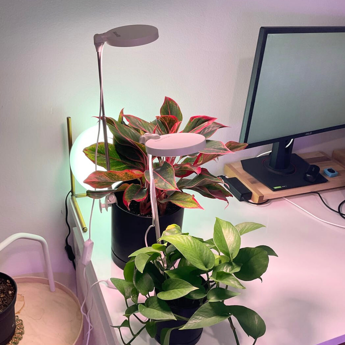 28" Adjustable LED Plant Light
