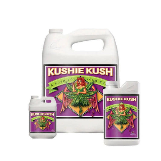 Kushie Kush