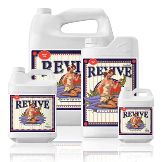 Revive