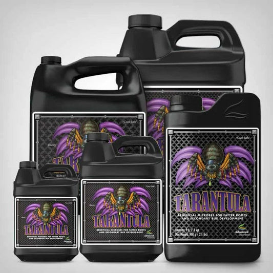 Tarantula