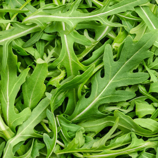 Arugula, Roquette