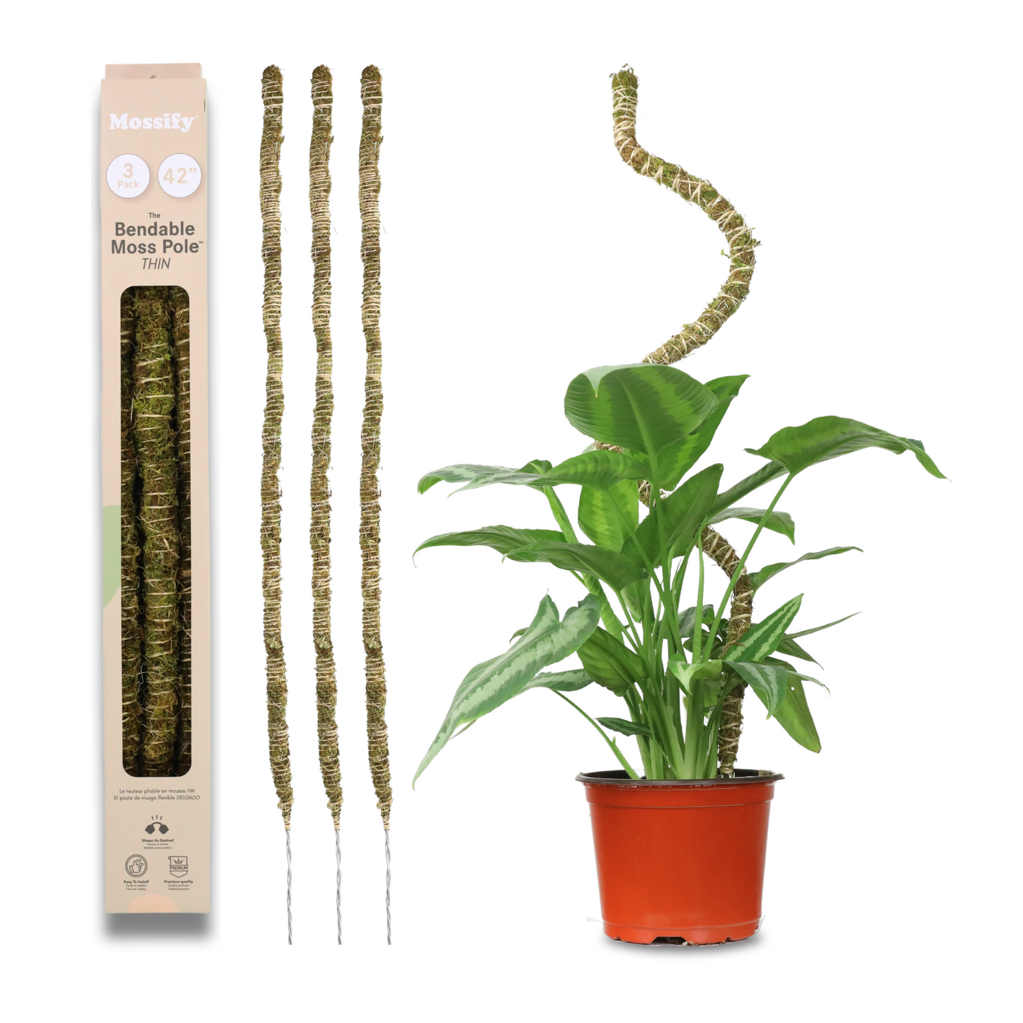 The Bendable Moss Pole™ 𝘛𝘏𝘐𝘕