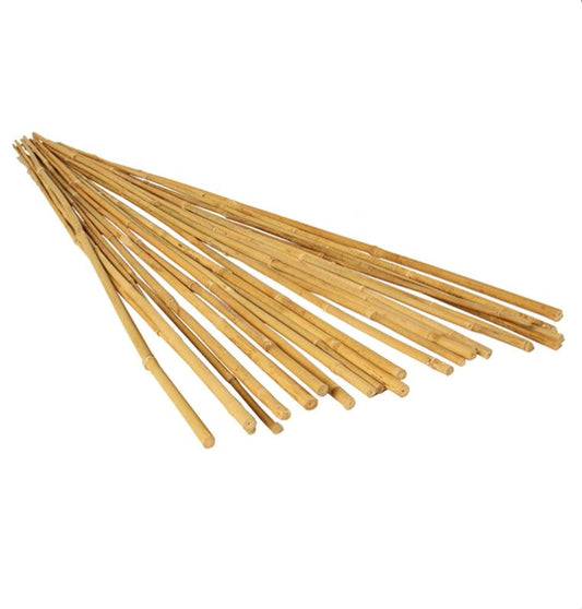 Bamboo Steaks