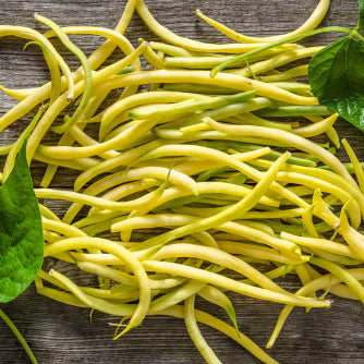 Beans, Rocnor (yellow)