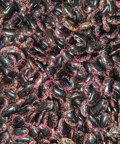 Beans, Scarlet Runner