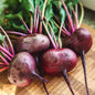Beets, Flat of Egypt