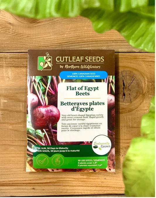 Beets, Flat of Egypt