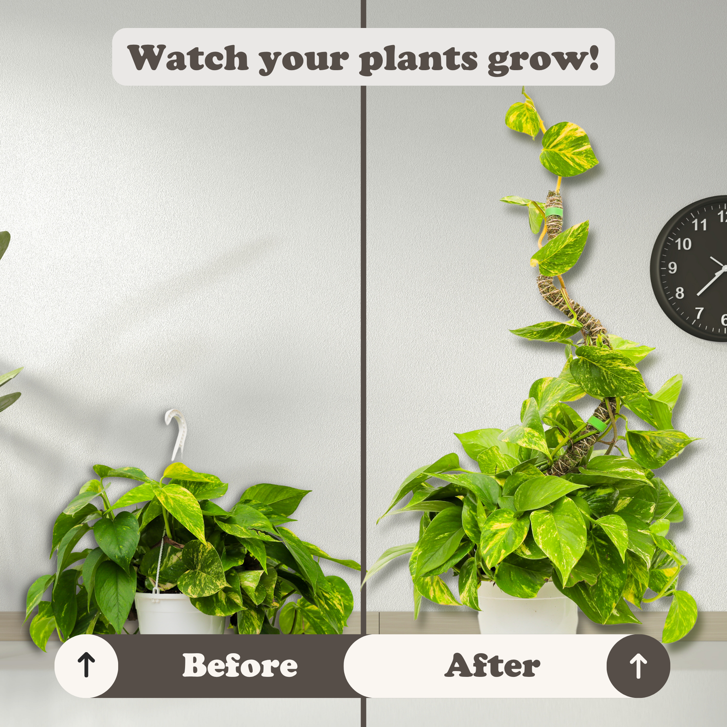 The Bendable Moss Pole™ 𝘛𝘏𝘐𝘕