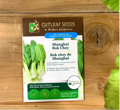 Bok Choy, Shanghai