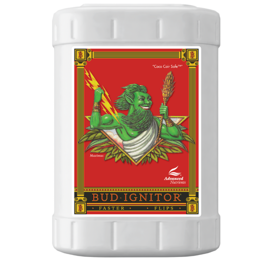 Bud Ignitor