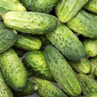 Cucumber Cool Customer Pickling