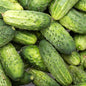 Cucumber Cool Customer Pickling
