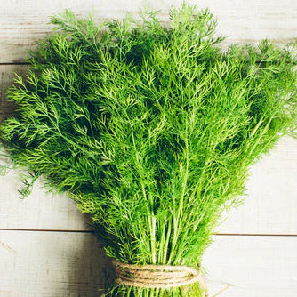 Dill Bouquet