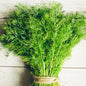 Dill Bouquet