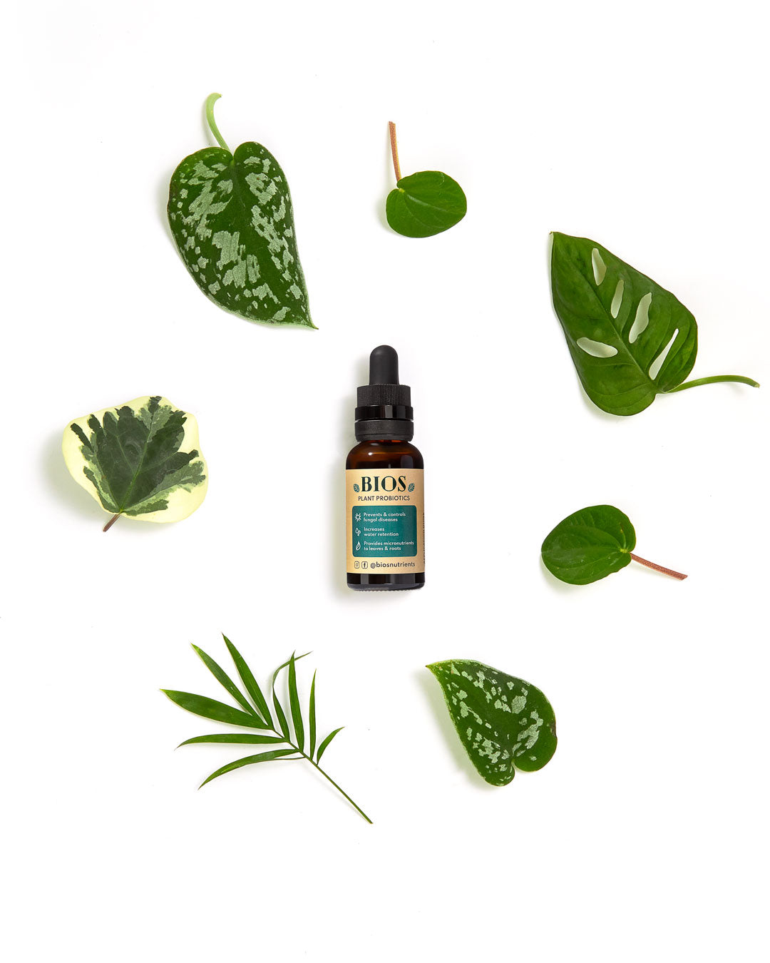 Bios Plant Probiotics - Kill Disease and Feed Plants