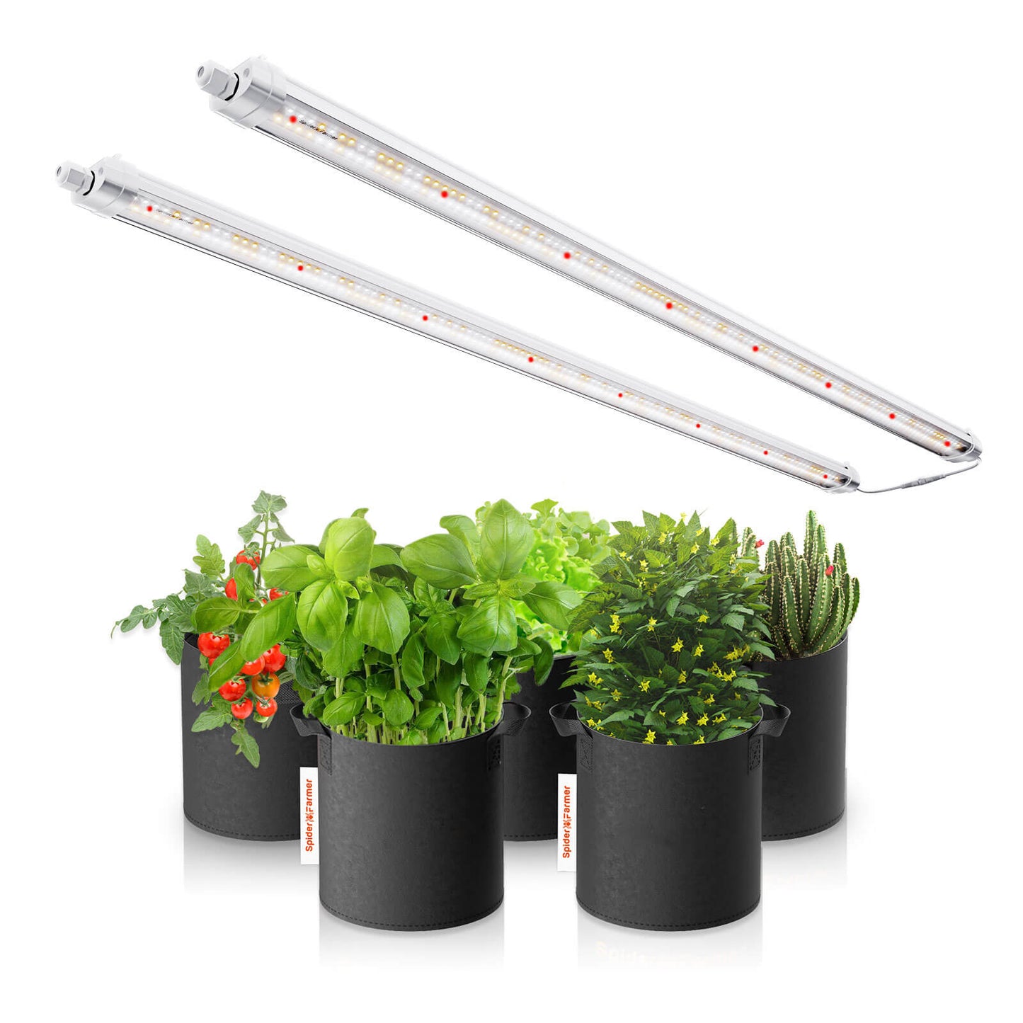 Glow80 80W LED Grow Light Bars – Full Spectrum, IP65 Waterproof, Linkable Lamps for Indoor Plants, Succulents, Cloning, Veg & Bloom