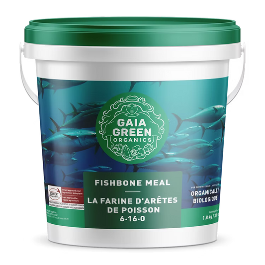 Close-up of Gaia Green Fish Bone Meal 6-16-0 showing phosphorus-rich organic fertilizer for strong plant growth