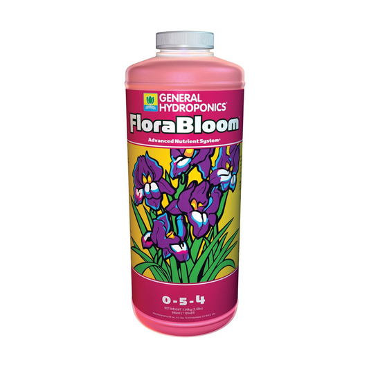 Flora Bloom