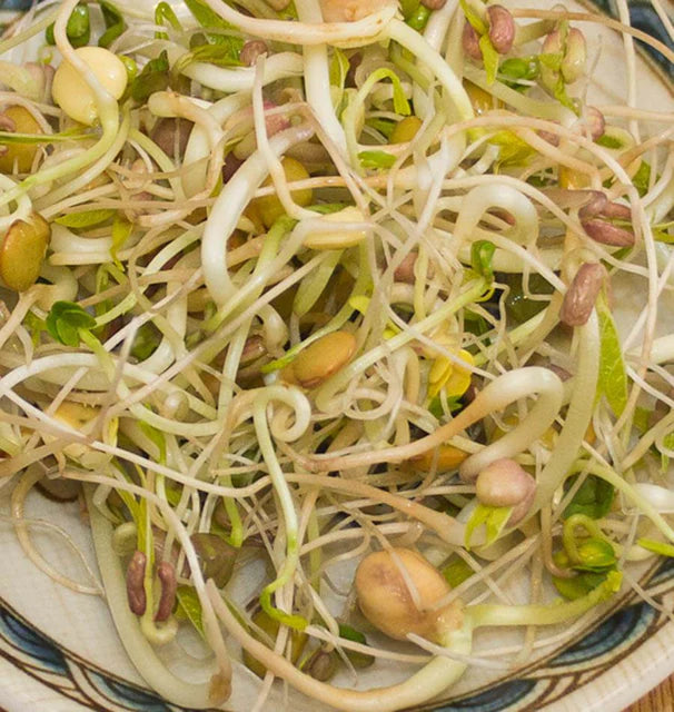 Gourmet Mix Certified Organic
