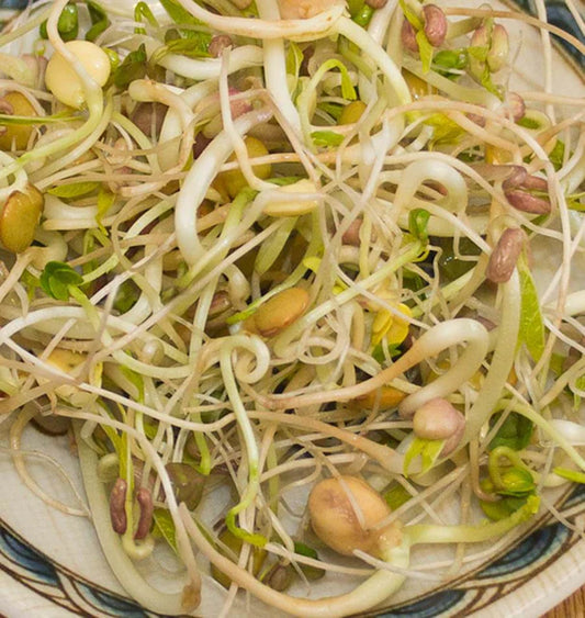 Gourmet Mix Certified Organic