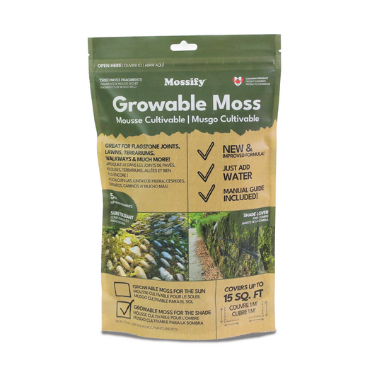 Native Boreal Mix Growable Moss for the Shade
