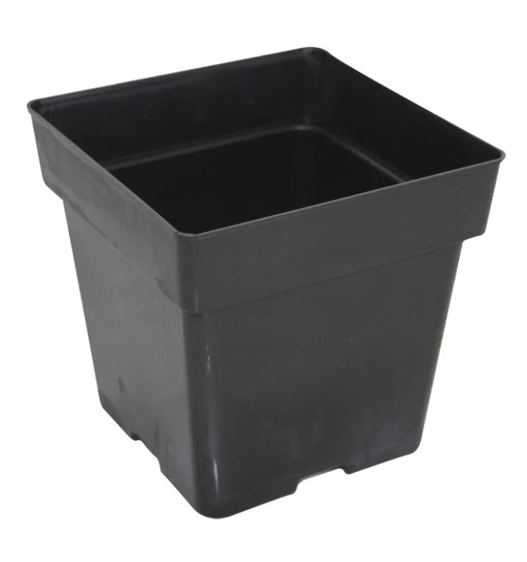 Square Pot 3.5"