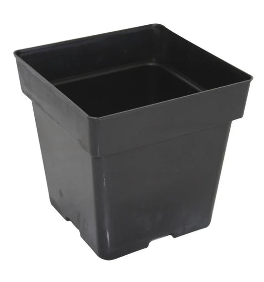 Square Pot 3.5"