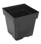 Square Pot 3.5"