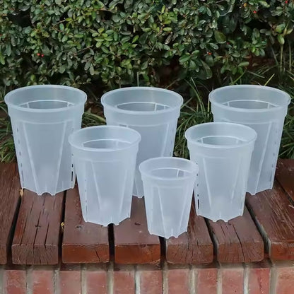 Tall Transparent Pot with Side & Bottom Drainage