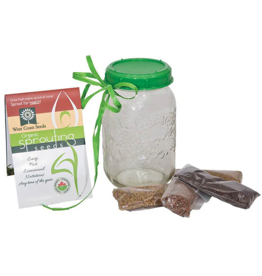 Sprouting Jar with Plastic Lid
