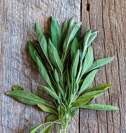 Herb, Sage - Ceres Organic