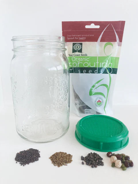 Sprouting Jar with Plastic Lid