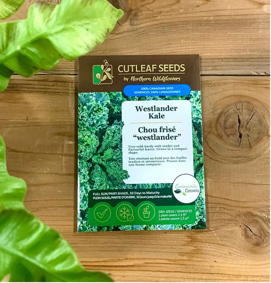 Kale, Westlander