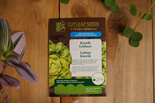 Lettuce Kweik