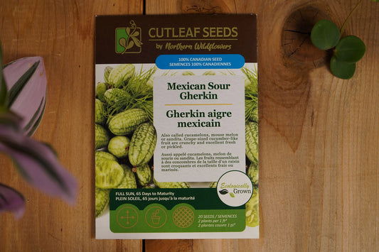 Cucumber Sour Gherkin